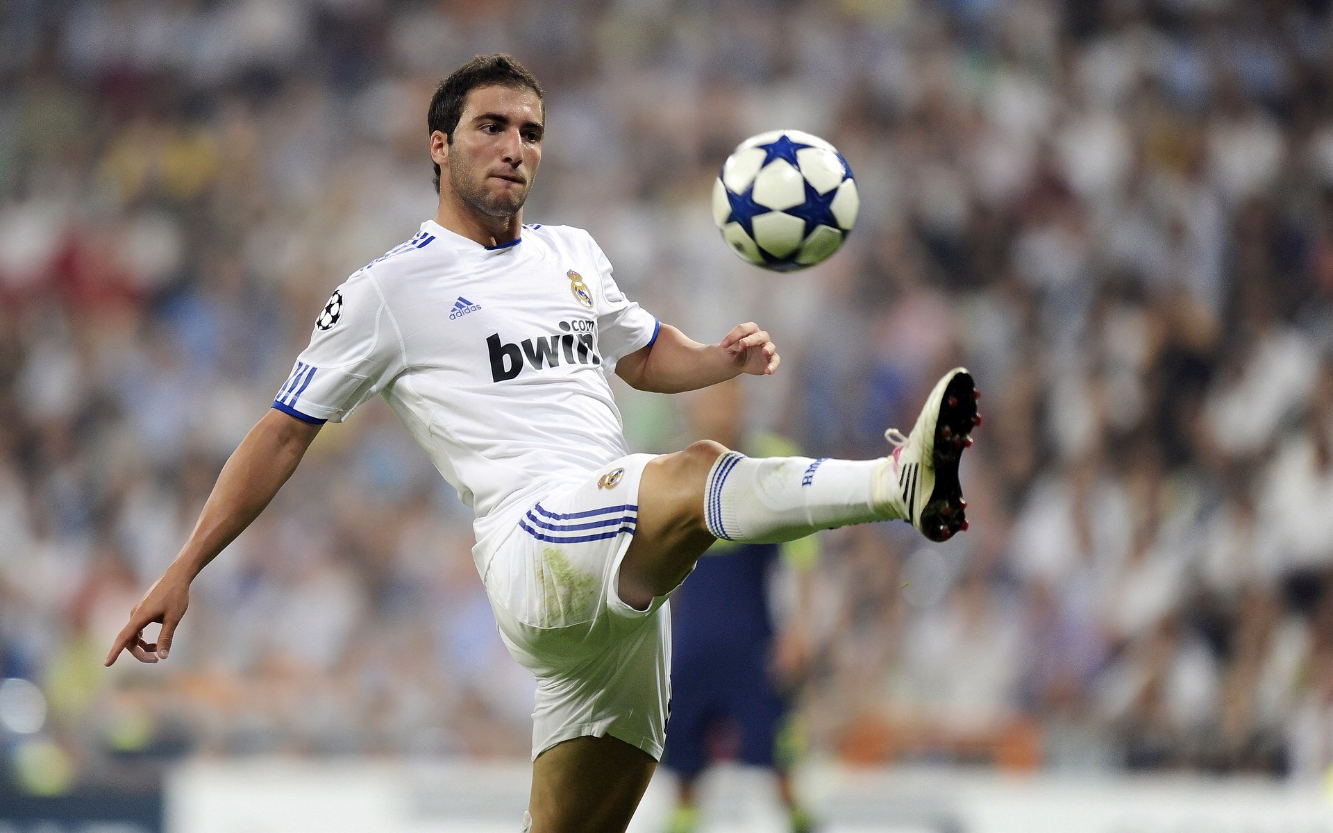 当雄鹿的蹄声在英超响起,跨越赛场的胜利叙事